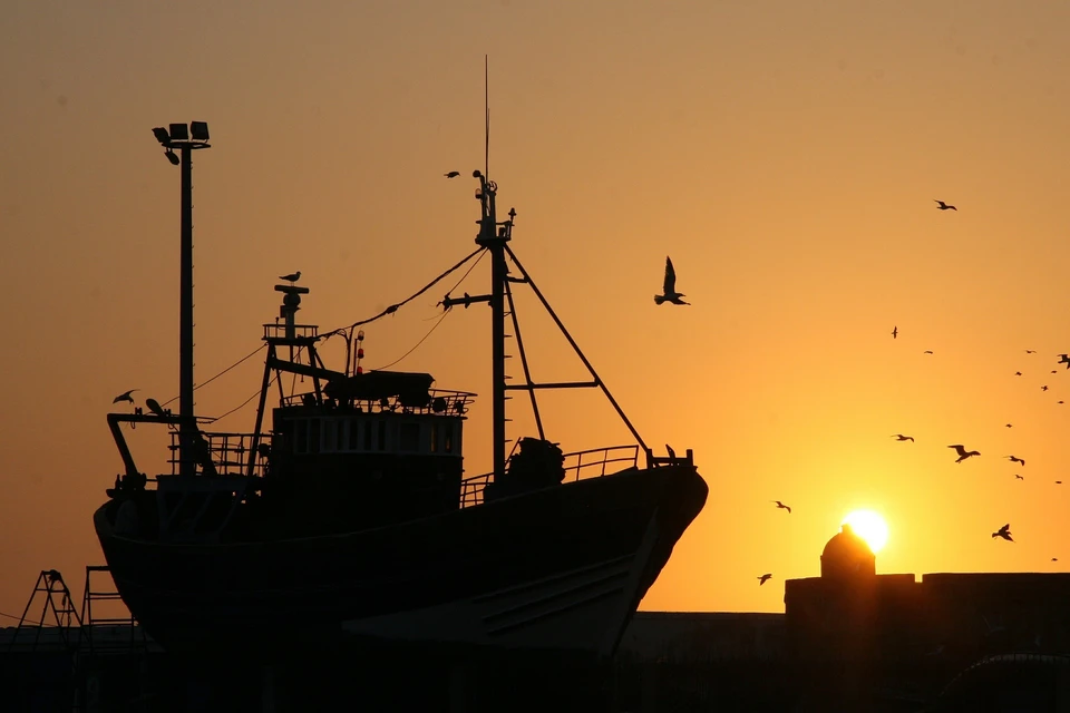 Фото: pixabay.com