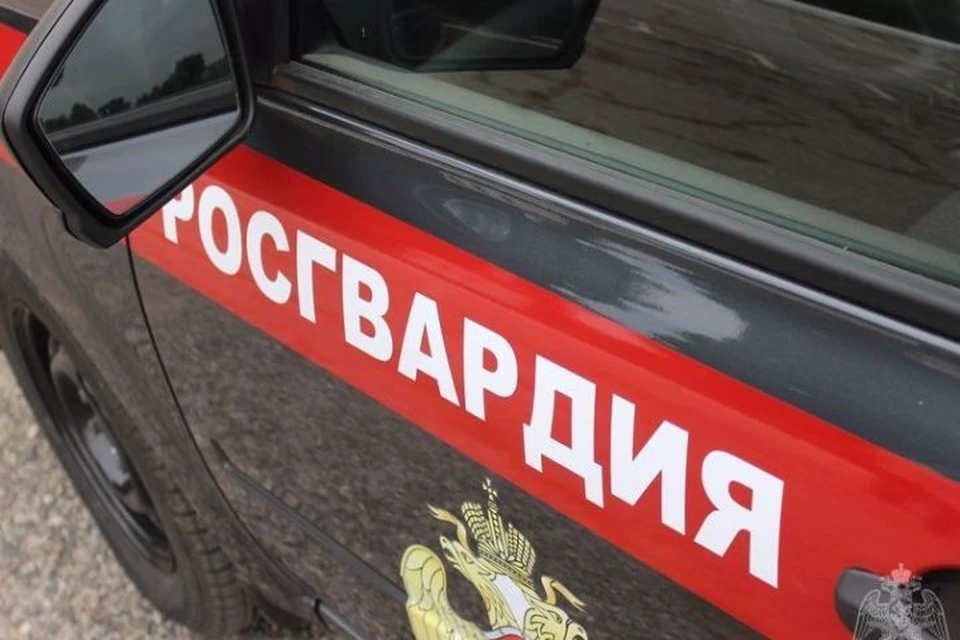 7-летняя девочка пропала в кузбасском городе. ФОТО: пресс-служба Управления Росгвардии по Кемеровской области