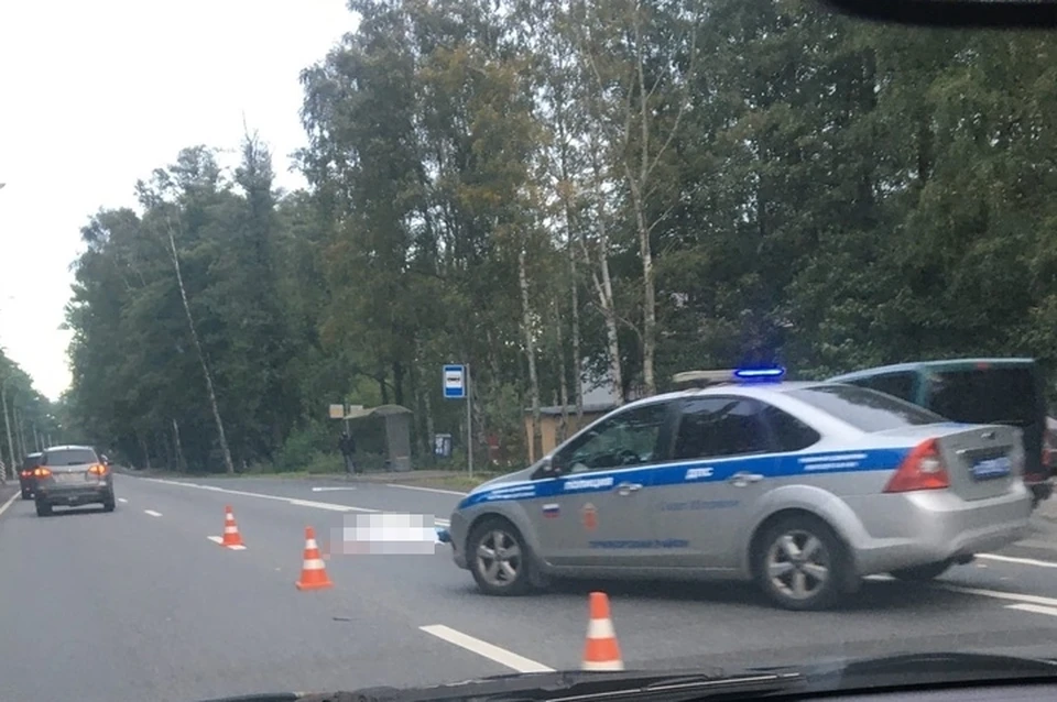 Мужчина погиб под колесами микроавтобуса на Лахтинском проспекте. Фото: vk.com/spb_today