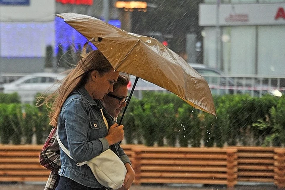 Днем 20 сентября в Пермском крае ожидается сильный дождь.