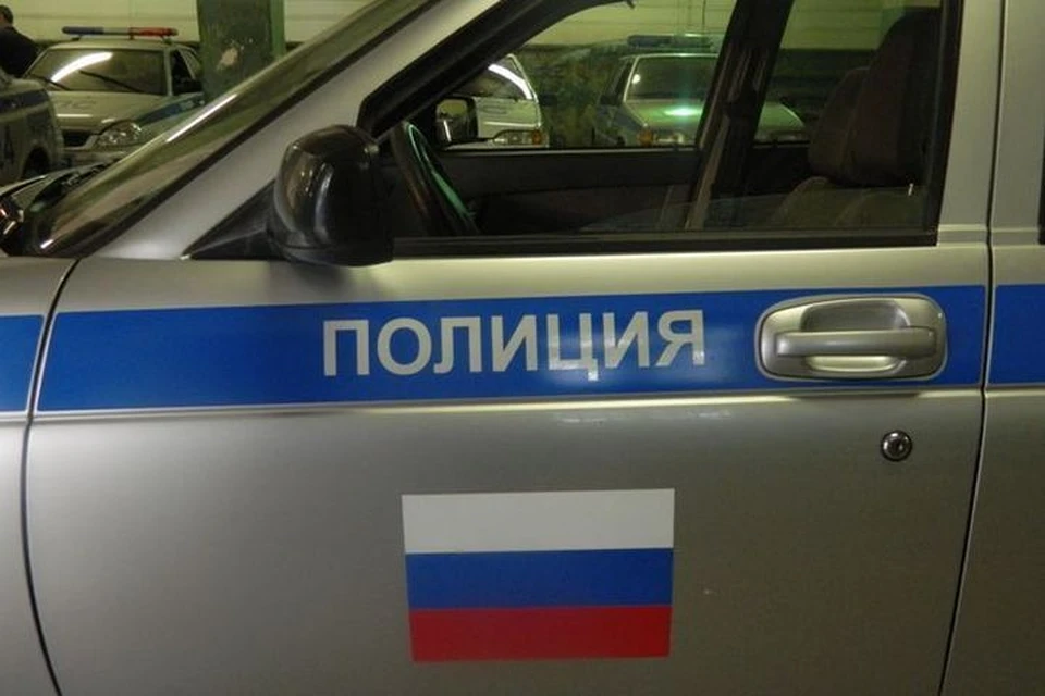 Полицейские проводят проверку.