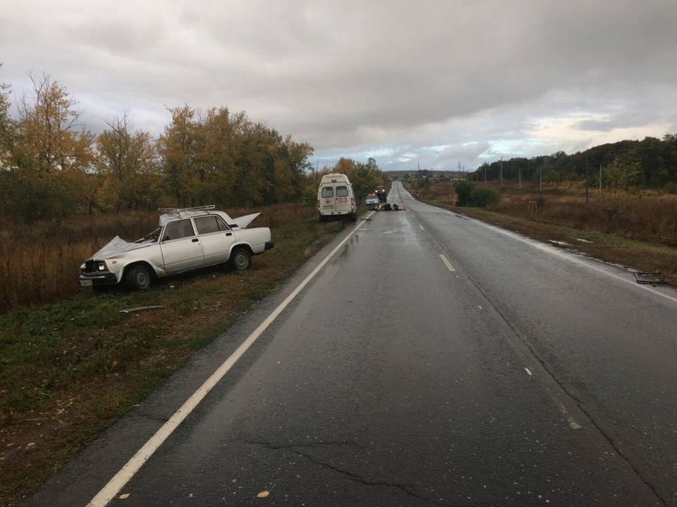 Корова перебегала дорогу и попала под колеса автомобиля