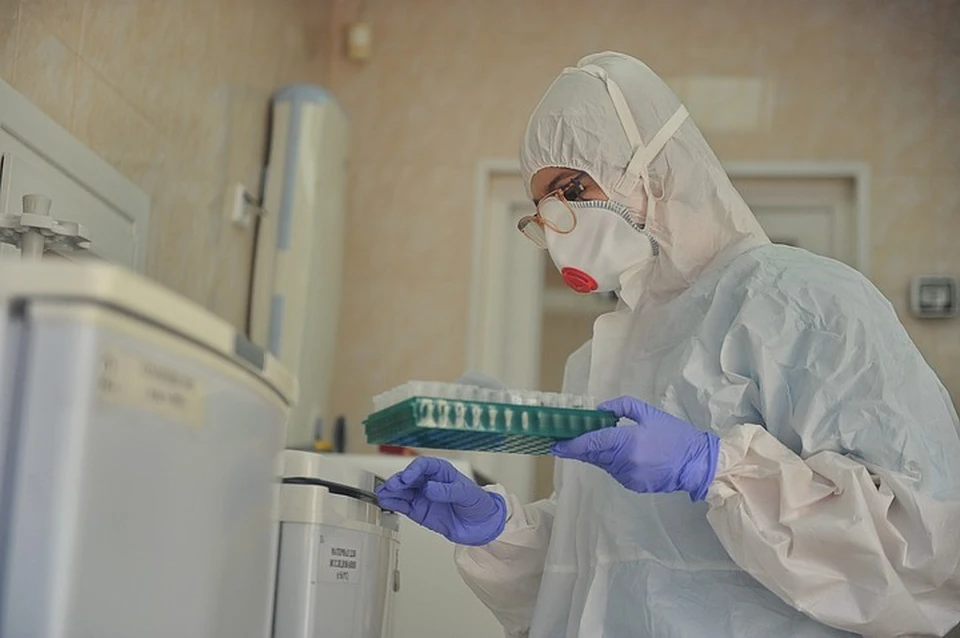 С начала пандемии в регионе провели 197 523 теста на COVID-19
