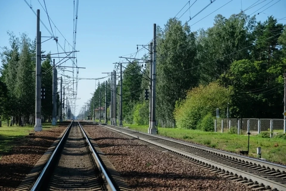 Подросток свалился со склона у железнодорожных путей на станции "Саперная" в Санкт-Петербурге.