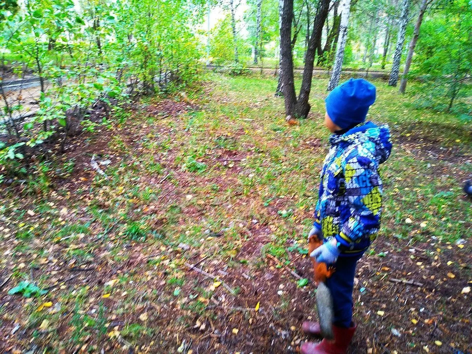 Омск ждет похолодание