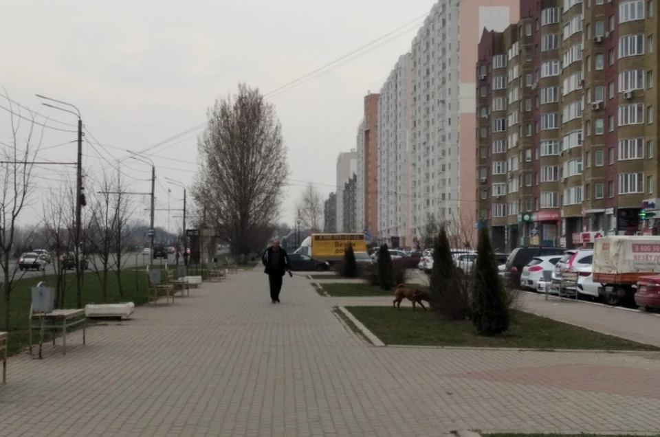 Курянам советуют сделать запас воды