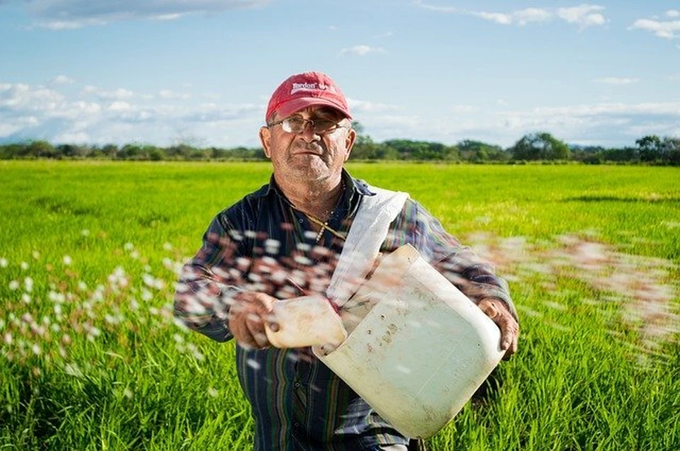 3 смоленских фермера получили гранты на развитие хозяйства. Фото: pixabay.com.