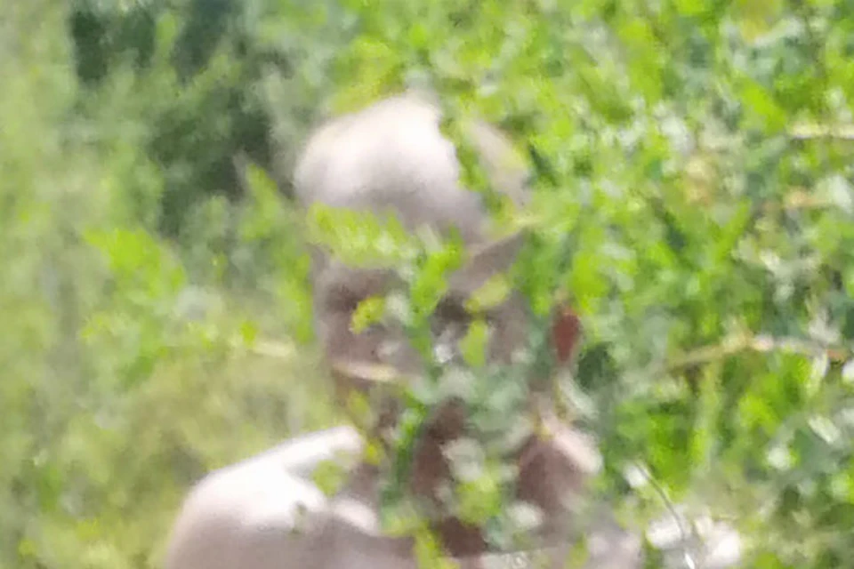 Тот самый снимок, на который попал голый мужчина. Фото: СУ СК России по Бурятии