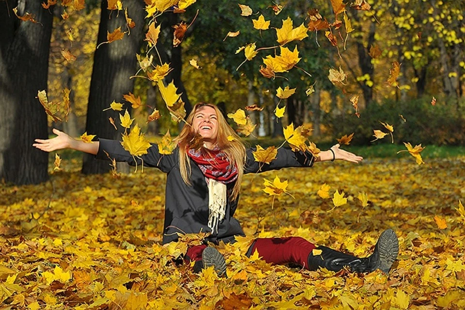 Фото: yandex.ru