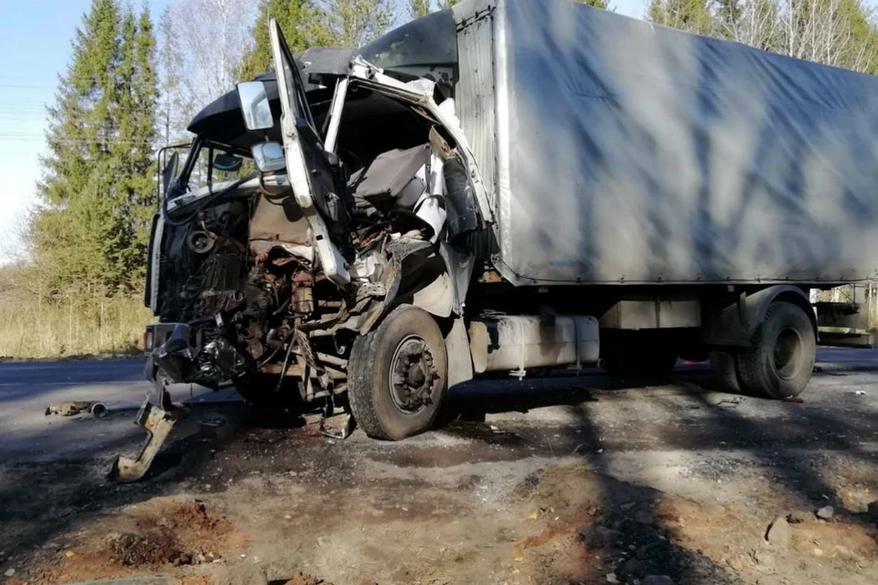 Водитель грузовика МАЗ-533605 врезался в большегруз Mercedes-Benz. Фото: