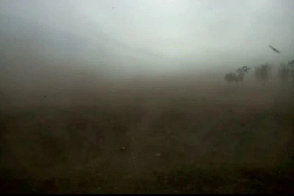 Фото: скриншот видео