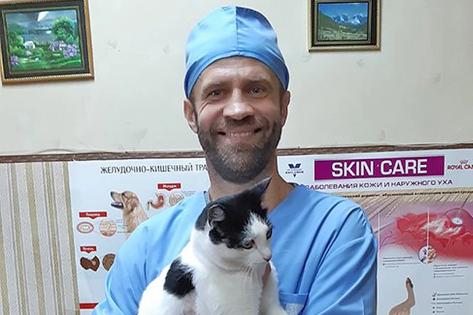 Когда случается «кошкопад», пациентов хоть отбавляй.