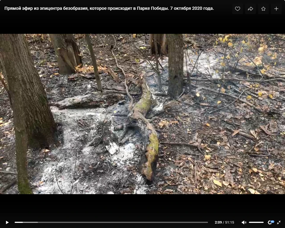 Общественники бъют тревогу из-за происшествия в парке. Скриншот видео с места возгорания