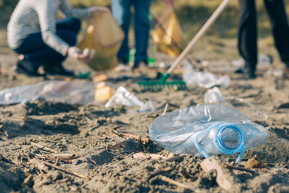 Правительство страны обеспокоилось тем, какое количество пластика попадает в окружающую среду и загрязняет ее