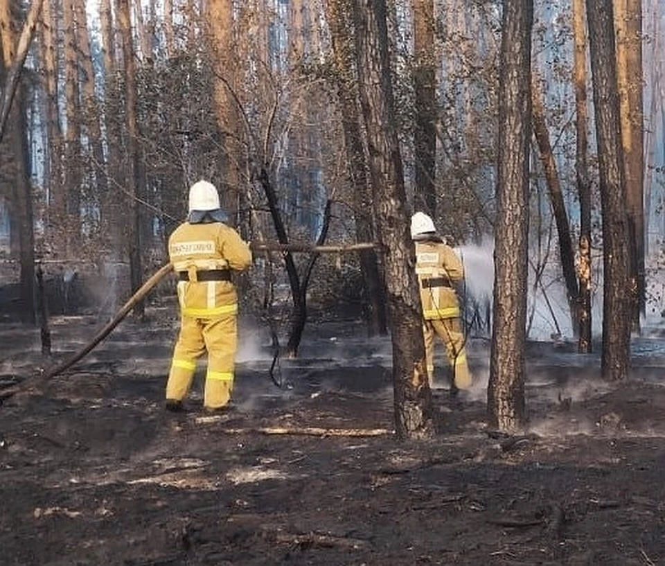 Фото с сайта ГУ МЧС по Воронежской области
