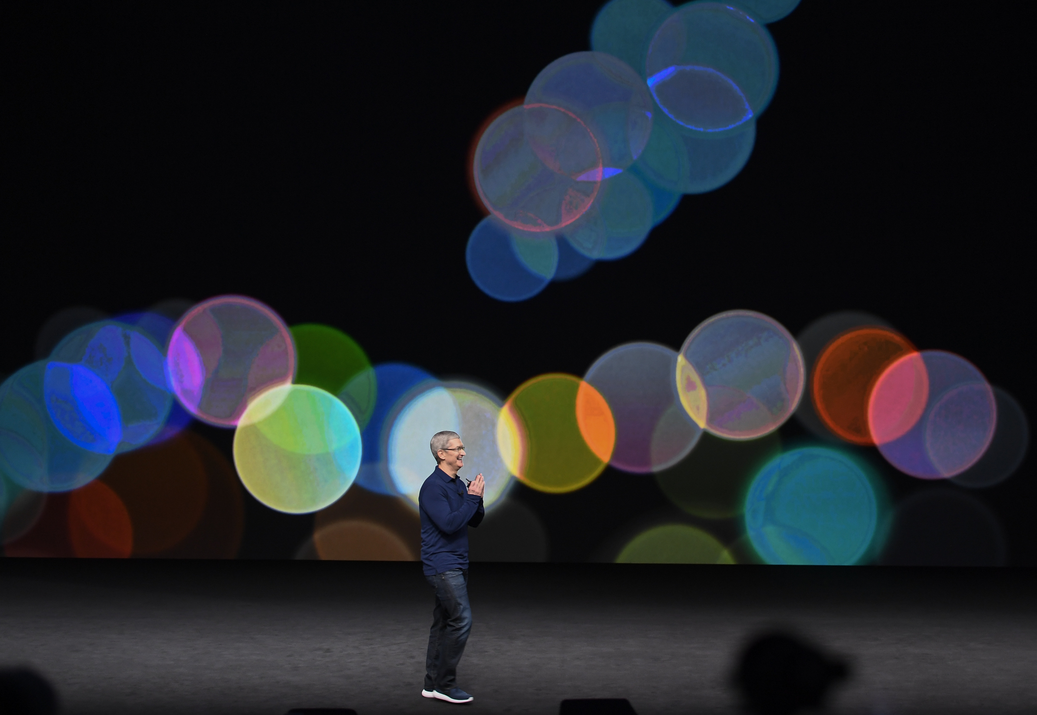 Ожидаются четыре устройства, которые войдут в линейку iPhone 12