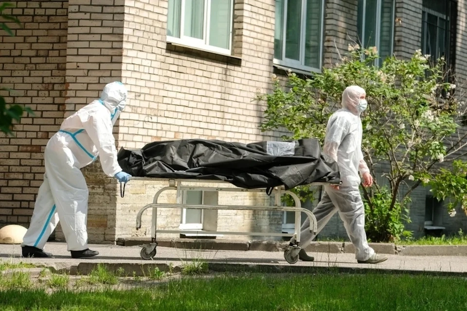 Петербургский НИИ сделал заявку на покупку частей тела, чем взбудоражил общественность.