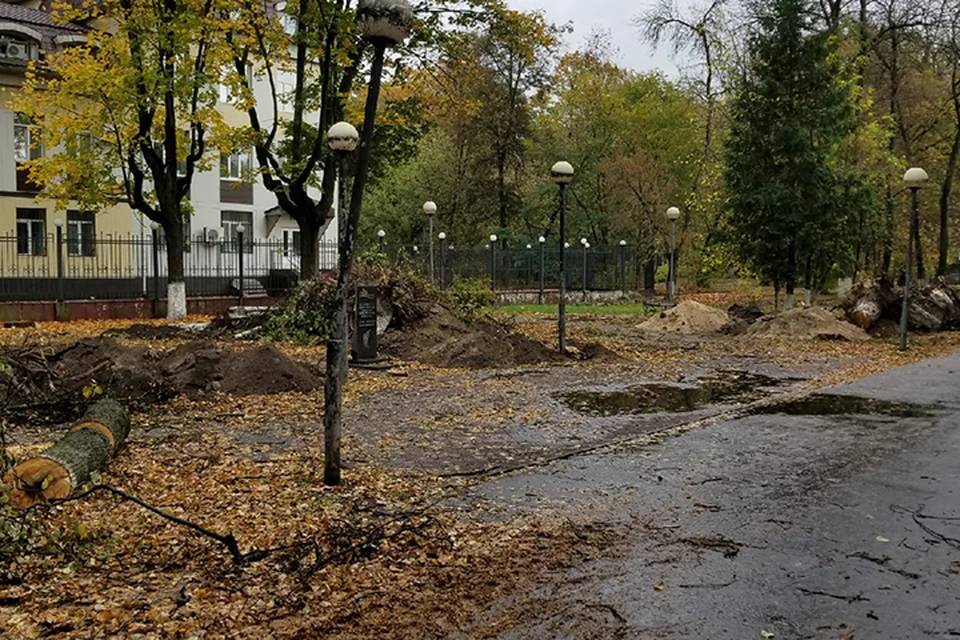Фото: "Типичный Брянск".