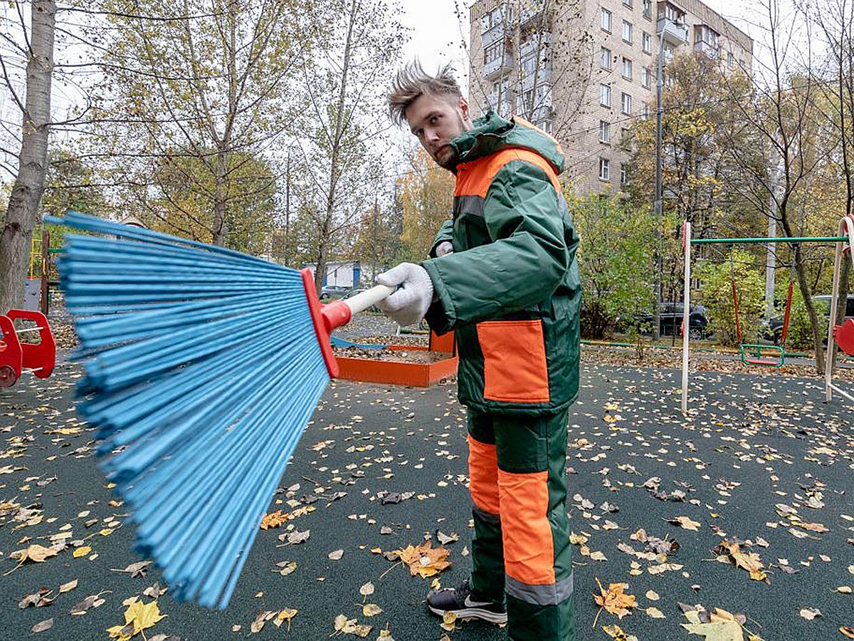 Есть долги по «коммуналке» - убирай дворы и свалки! Как я устроился  дворником - KP.RU