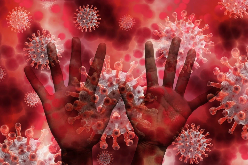 Число заболевших коронавирусом в Югре на 20 октября 2020 года увеличилось на 194 человека Фото: pixabay.com