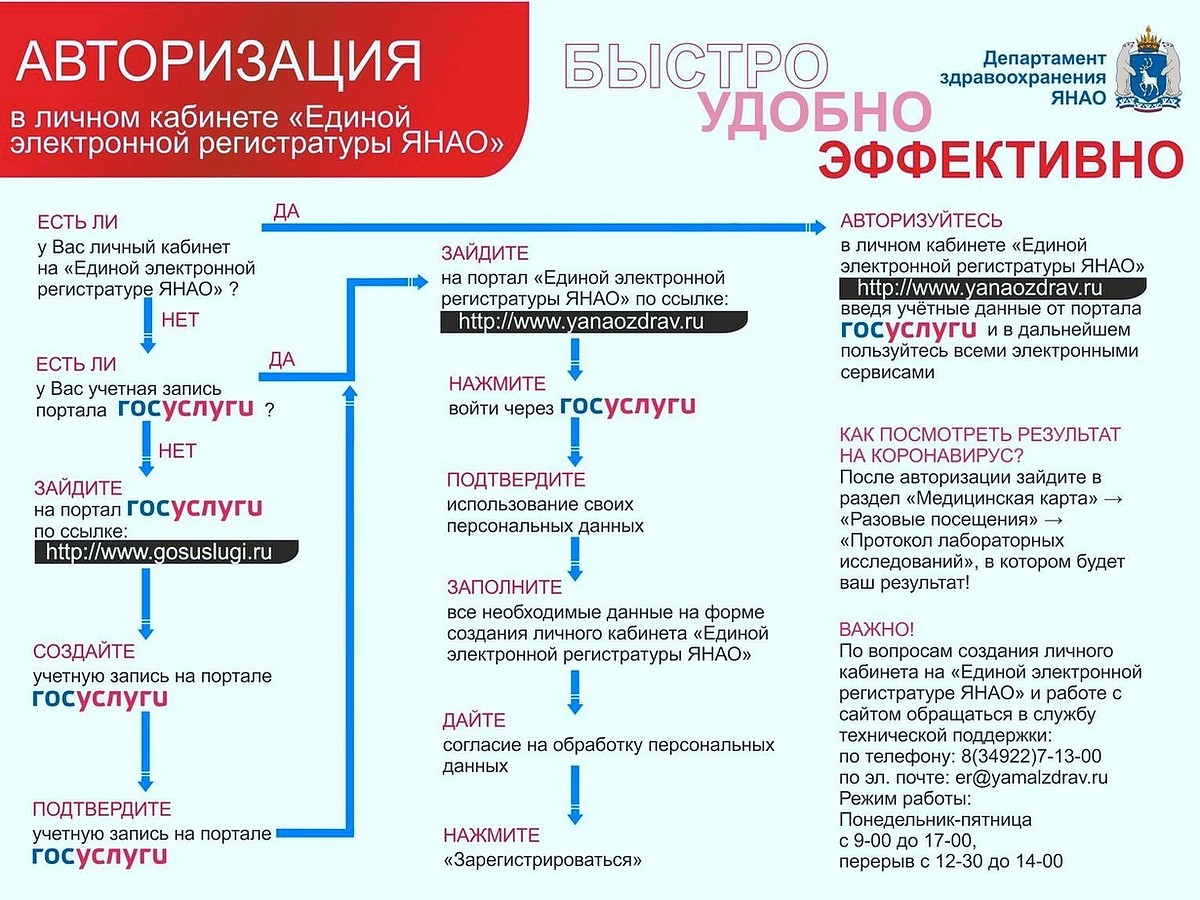 Жители Надыма могут узнать результат анализа на COVID-19 через Госуслуги -  KP.RU