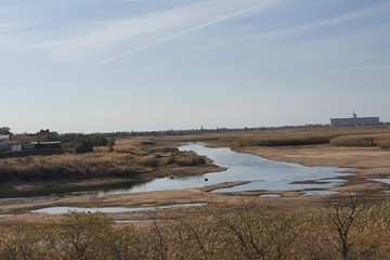 По словам очевидцев, частично вода в Маныче совсем исчезла. Фото: Виктория Лебедева, vk.com/rostovnadonu