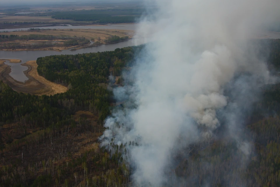Возгорание произошло в Брединском районе Фото: Управление лесами Челябинской области
