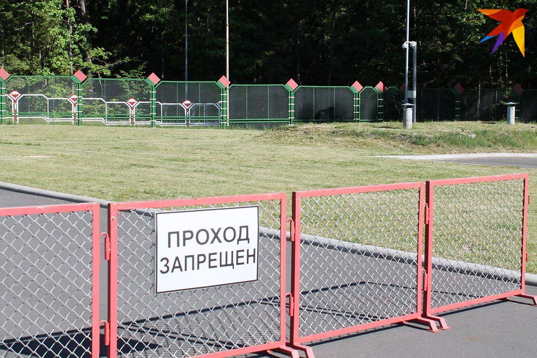 В МВД рассказали, какое количество белорусов выехало за границу после президентских выборов