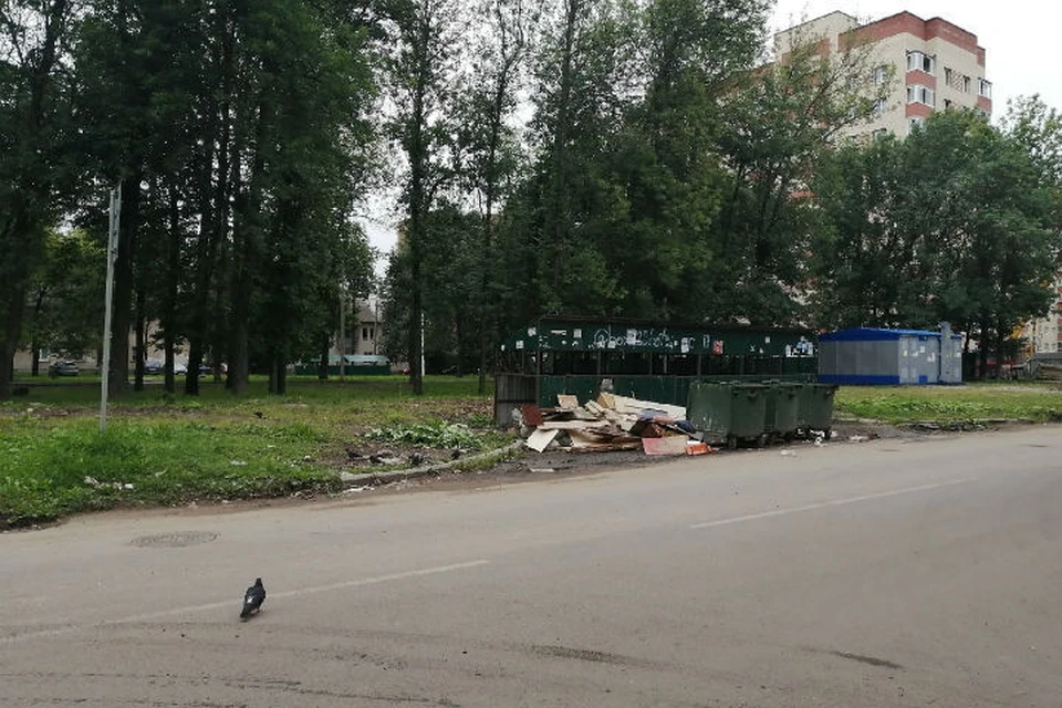 В Ярославской области повысилась плата за вывоз мусора
