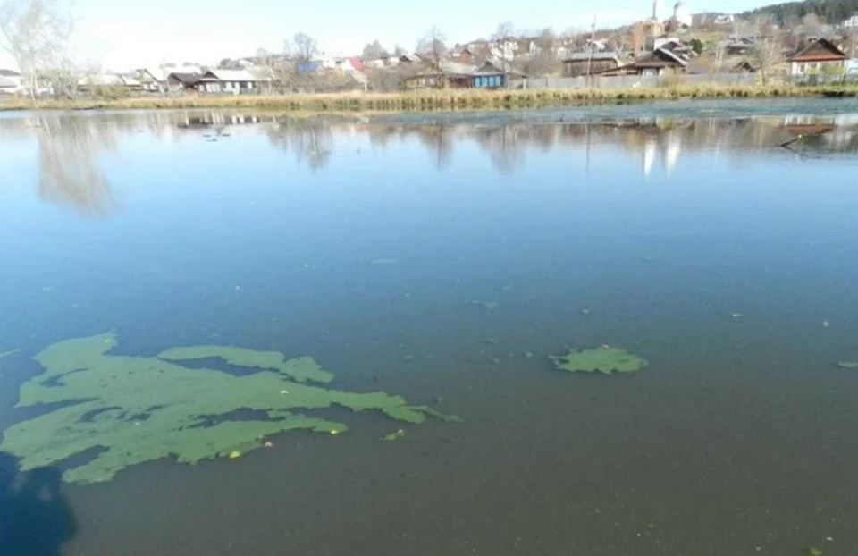Каждое лето Черноисточинское водохранилище затягивает пеной. Фото: Лев Истомин