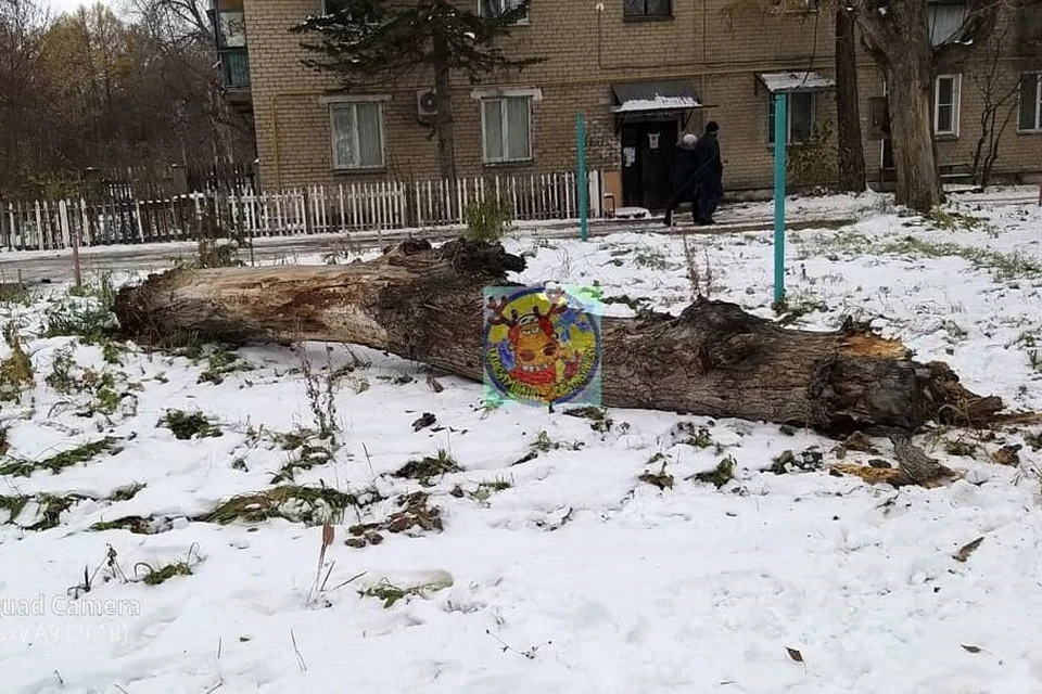 ЧП произошло вечером 28 октября. Фото: «Подслушано Челябинск» / Instagram.com
