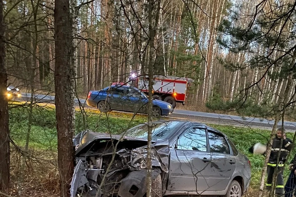 Происшествие на брянской границе. Машина в лесу. Авария под Клюковники Навлинского.