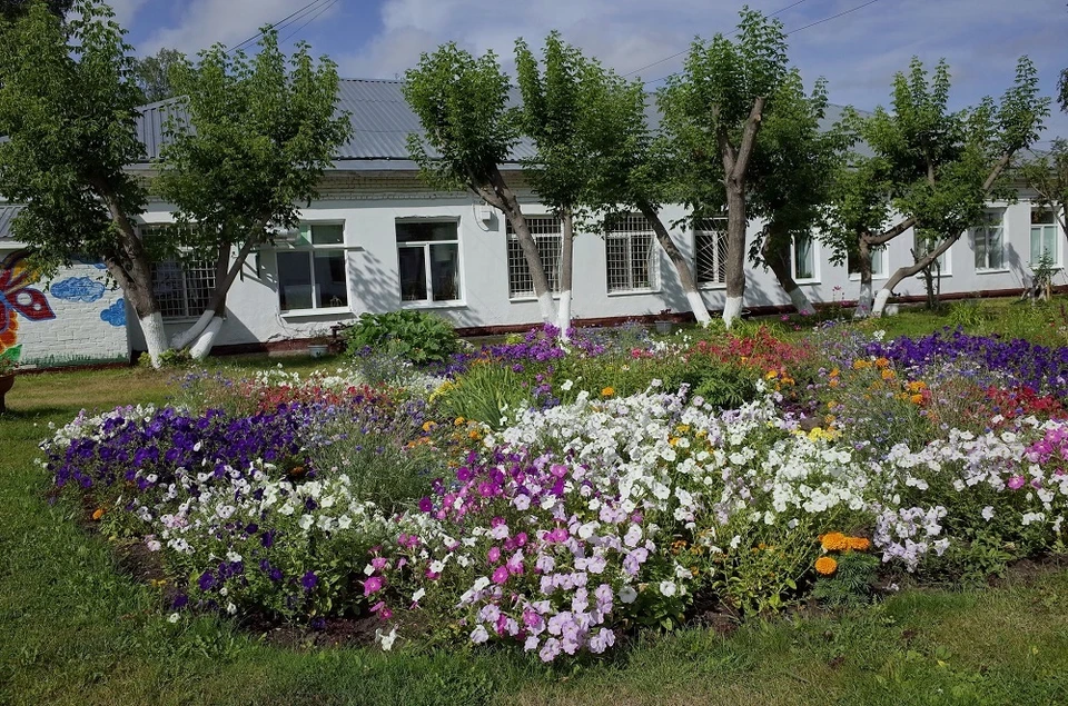 В этом году МБОУ ООШ №39 стала победителем городского конкурса по благоустройству «Томский дворик-2020» в номинации «Лучший двор школы».