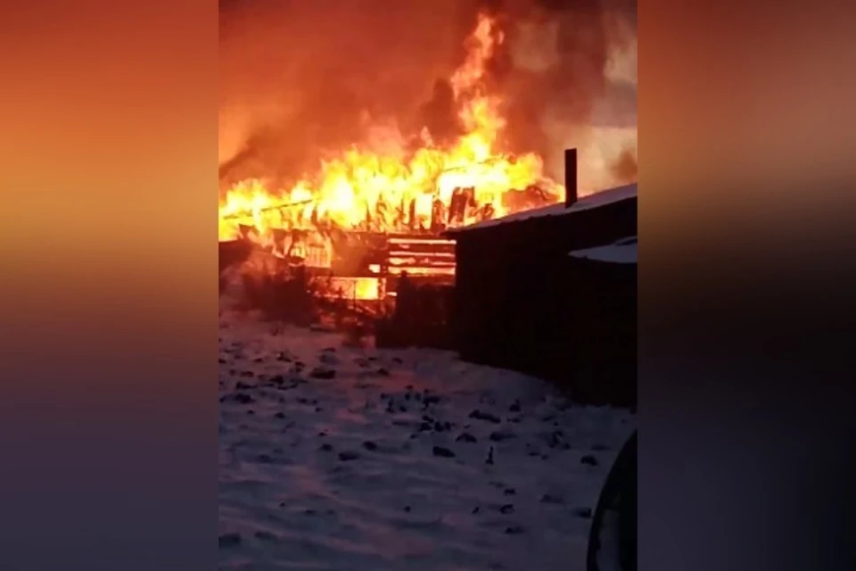 9 лошадей сгорели в конюшне в Кемерове. ФОТО: кадр видео vk.com, "Инцидент Кемерово", Андрей Завор