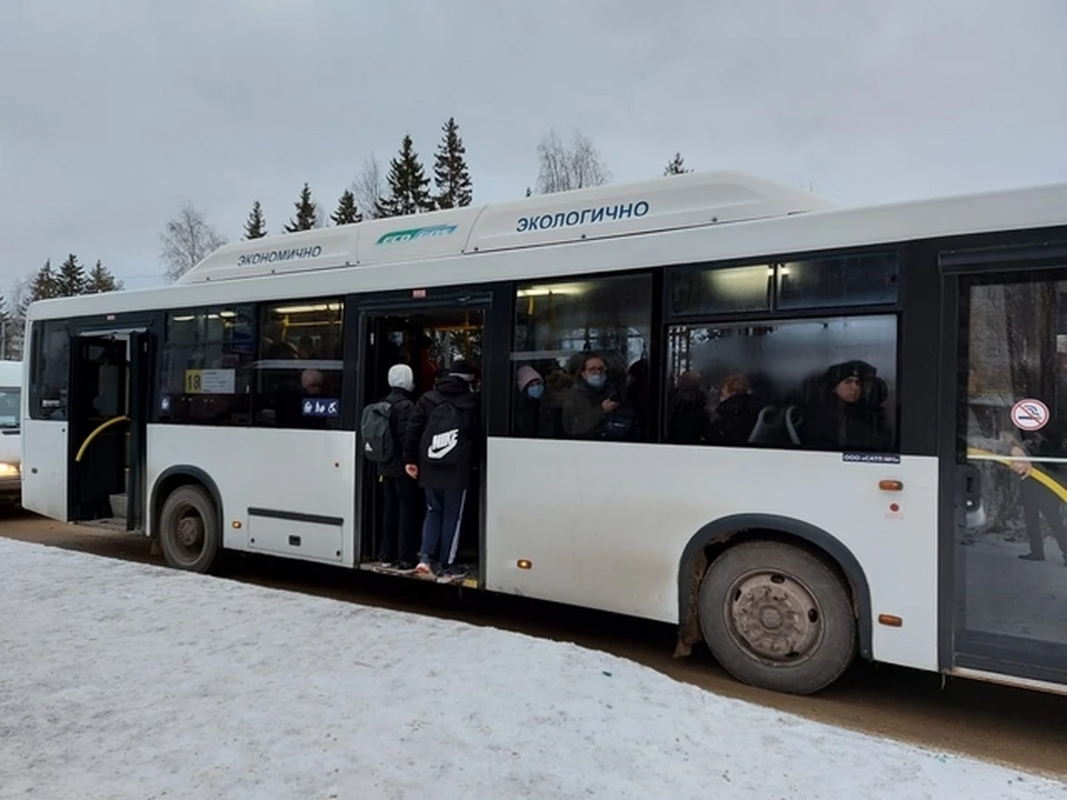 Из 22 проверенных автобусов по маршруту 18 и 54 только один имел загруженность ниже среднего, десять автобусов были наполнены выше среднего.