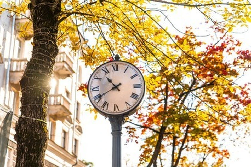 Фото: Дарья ХВАТКОВА