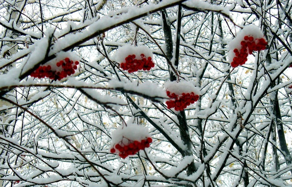 снегопад в июле. сильный снегопад. первый снег 2022. огромные сугробы. большой снег.