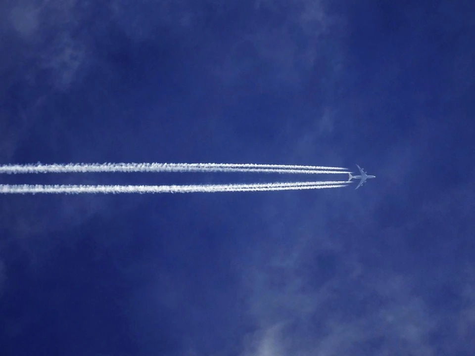 Фото: pexels.com