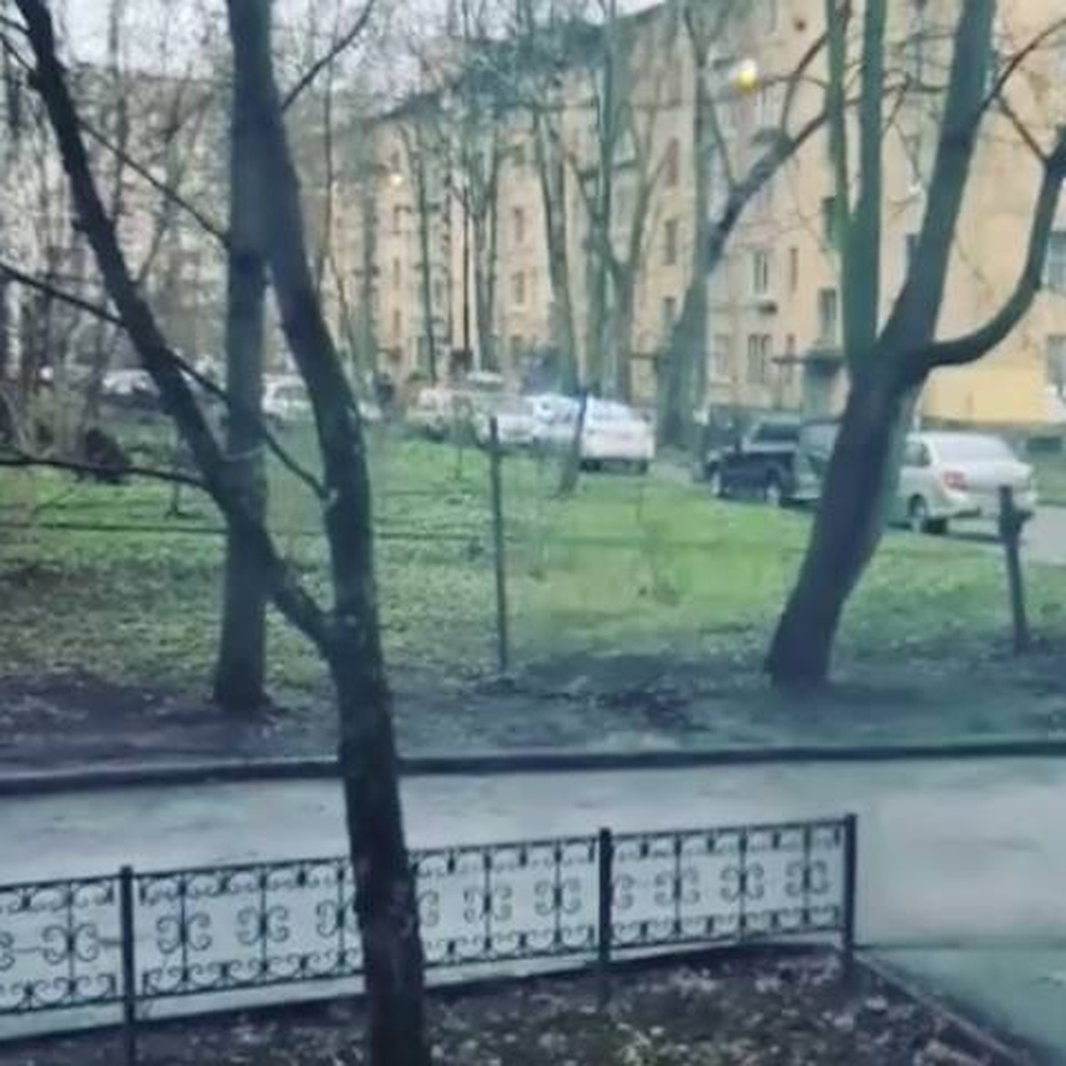 Видео с места захвата в заложники шестерых детей жителем Колпино появилось  в сети - KP.RU