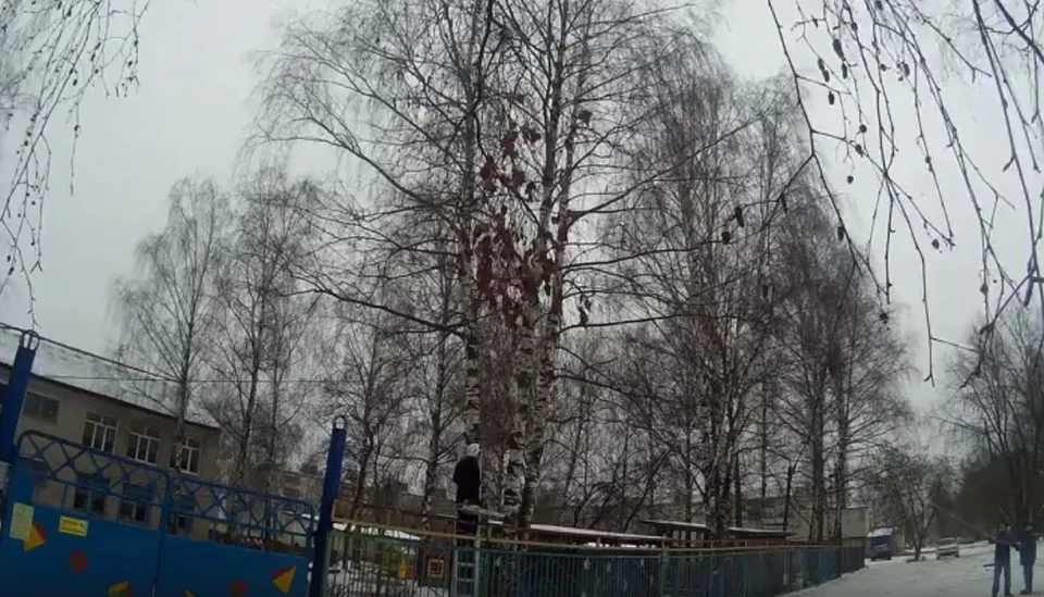 Коврова брянск