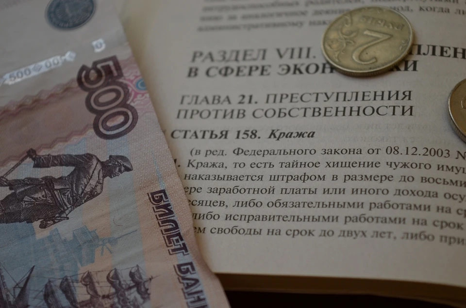 Уголовное дело полицейские возбудили по статье "Кража"