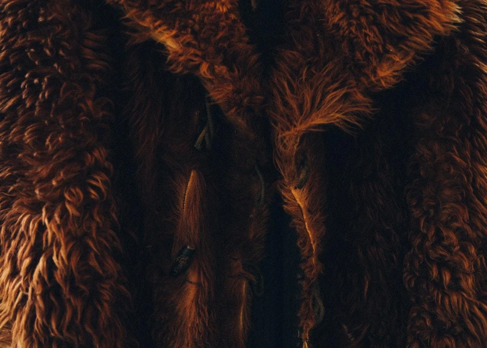 Фото: .pexels.com