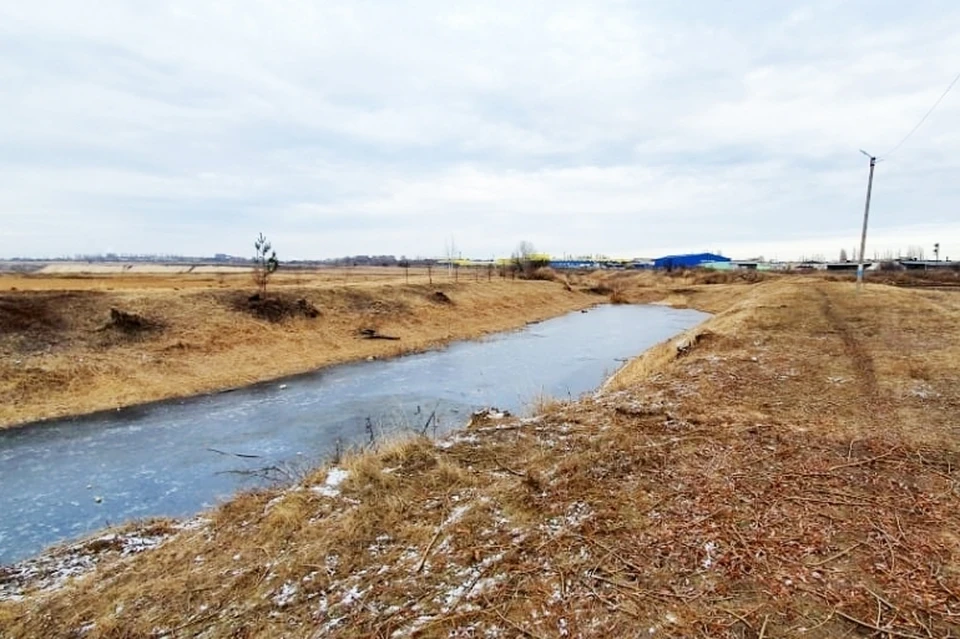 В Липецке в рамках муниципальной программы облагородили территорию у пруда