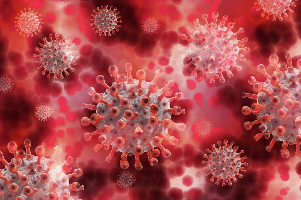 Число заболевших коронавирусом в Югре на 4 декабря 2020 года увеличилось на 224 человека Фото: pixabay.com