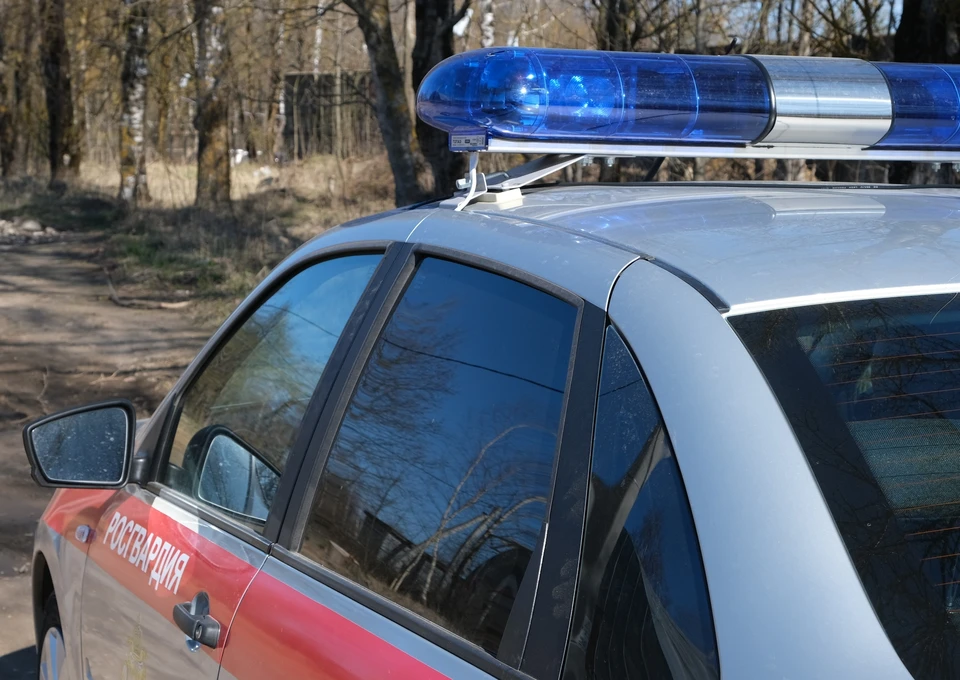 В Смоленске двое посетителей торгового центра устроили драку. Фото: pixabay.com.