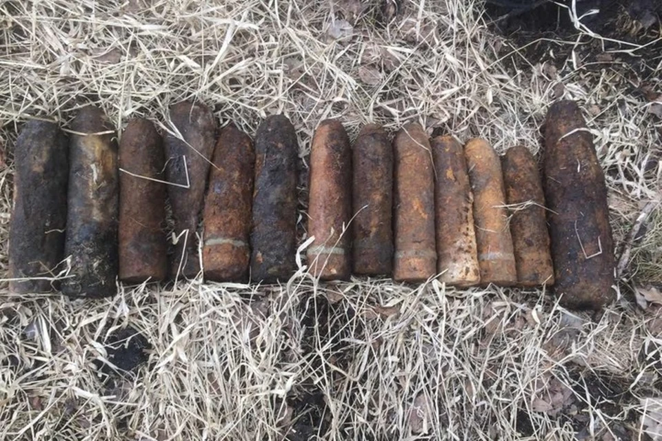Сообщение об опасной находке неподалеку от поселка Воробьевка поступило на оперативный пульт МЧС.