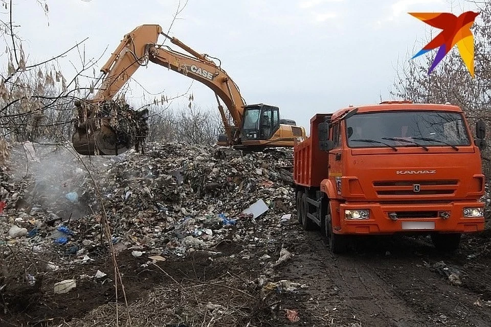 В Тверской области компания из сферы ЖКХ восемь лет сваливала мусор в лесу.