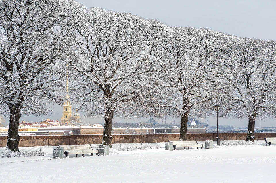 В новогодние каникулы петербуржцы все-таки смогут насладиться зимней погодой.