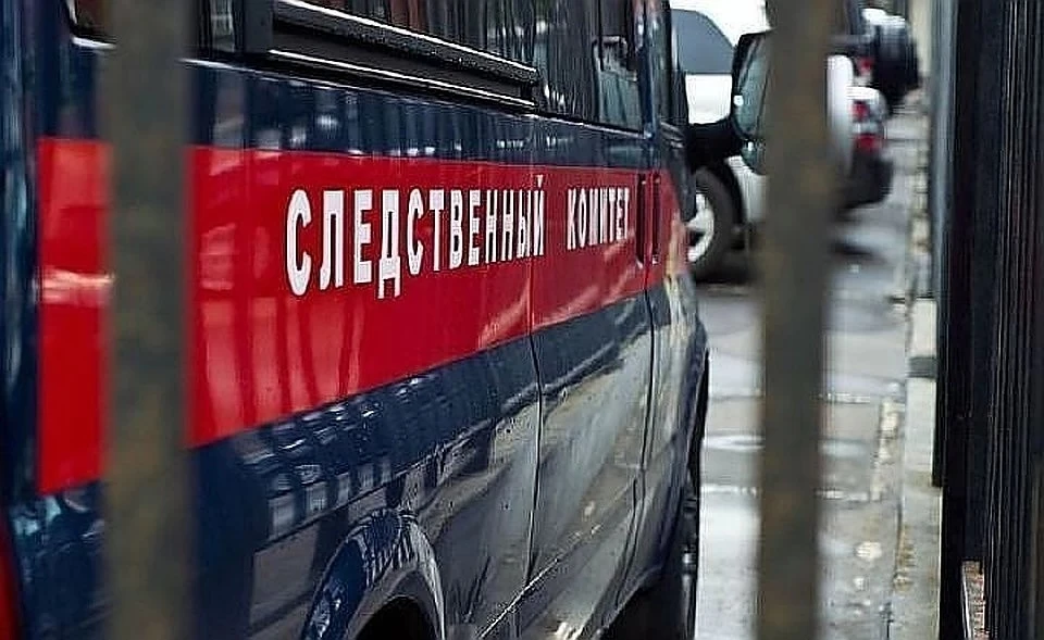 В Приморье завершено расследование дела об убийстве женщины в селе Михайловка