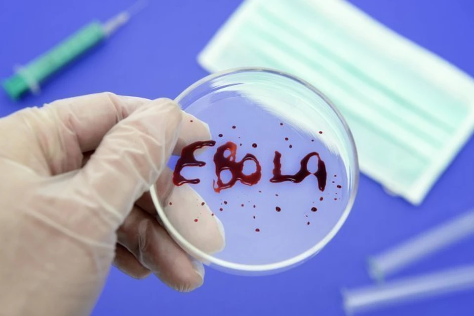 Один из первооткрывателей вируса Эбола рассказал о новой опасной «болезни X»